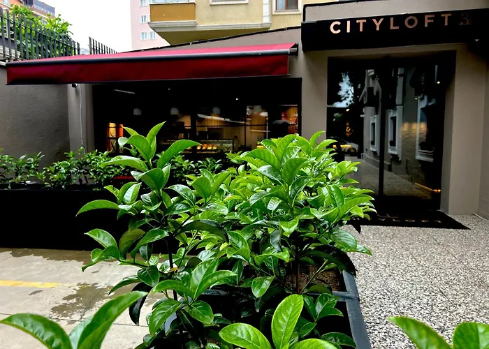 Cityloft 36