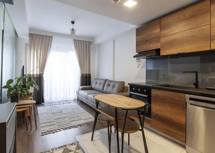 Residence Flat With Excellent Location In Sisli