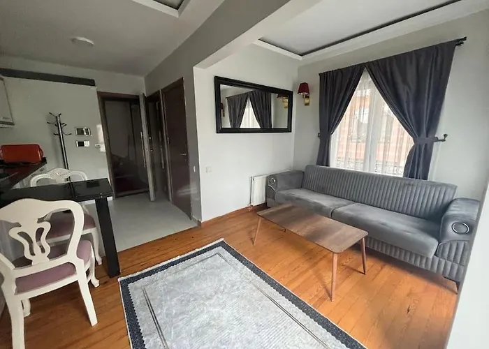 Spacious And Cozy Flat Near Taksim Square No3