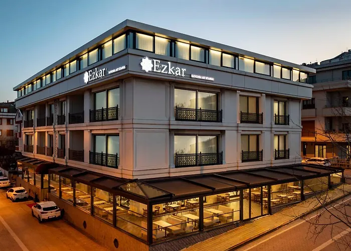 Ezkar Bathonea Art Istanbul Hotel