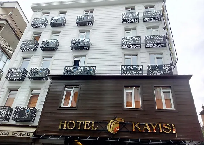 Hotel Kayisi