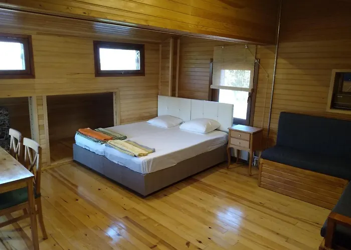 Retro & Wood