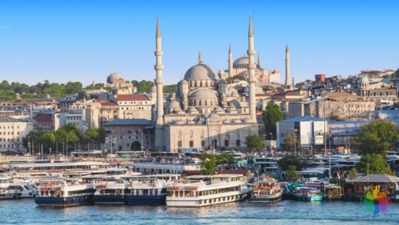 Camellia * Istanbul