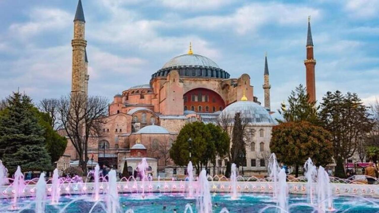 Camellia * Istanbul