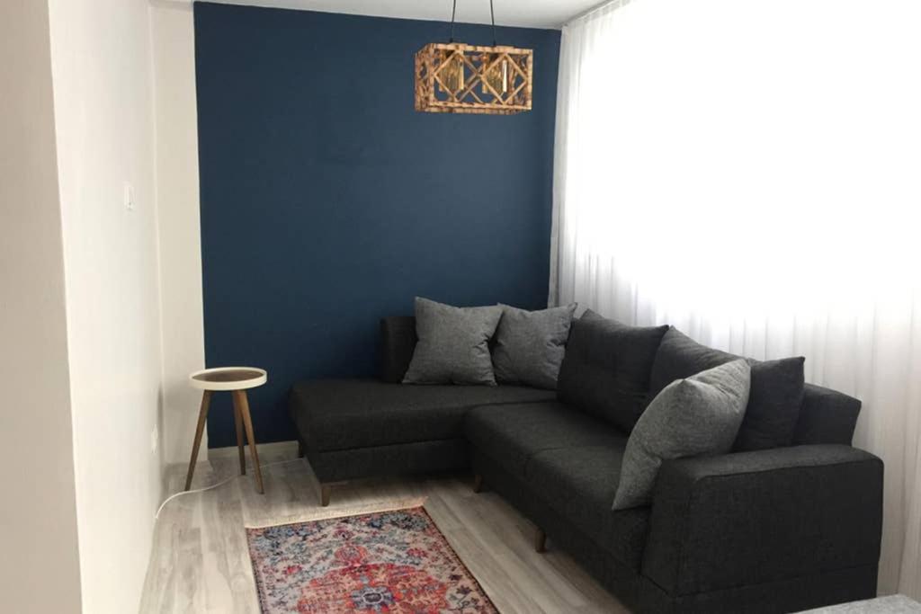 Apartment Small Semi Basement Floor *