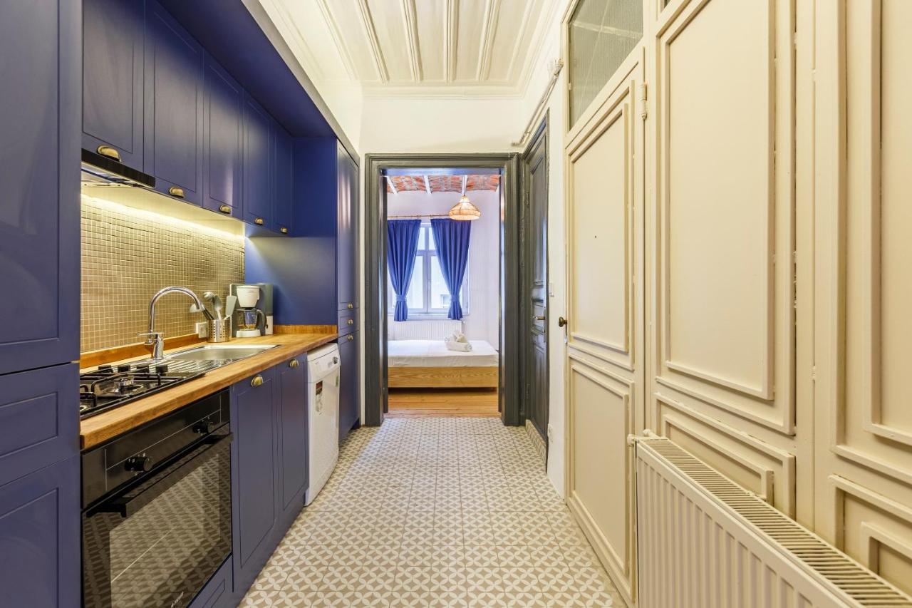 Apartment 1 Bedroom Renovated House In Taksim *