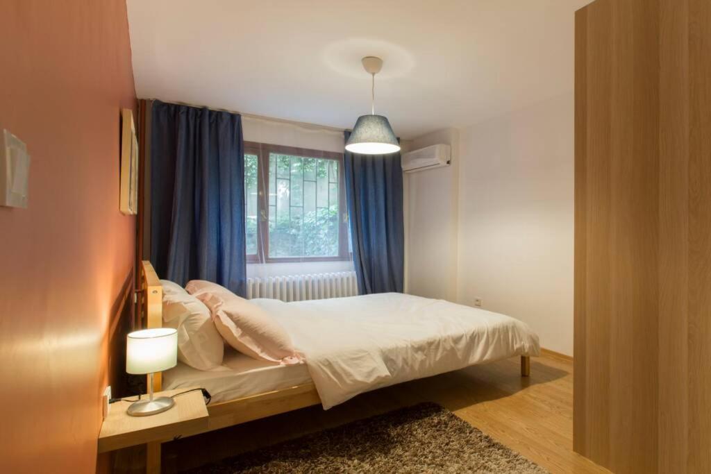 Centrally Located Huge In Cihangir Apartment