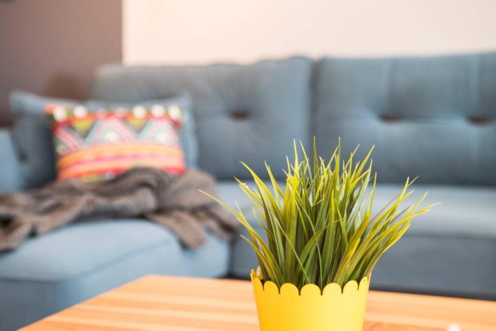 Centrally Located Huge In Cihangir