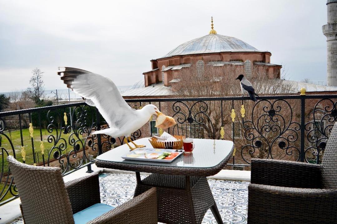 Little Sofia Istanbul