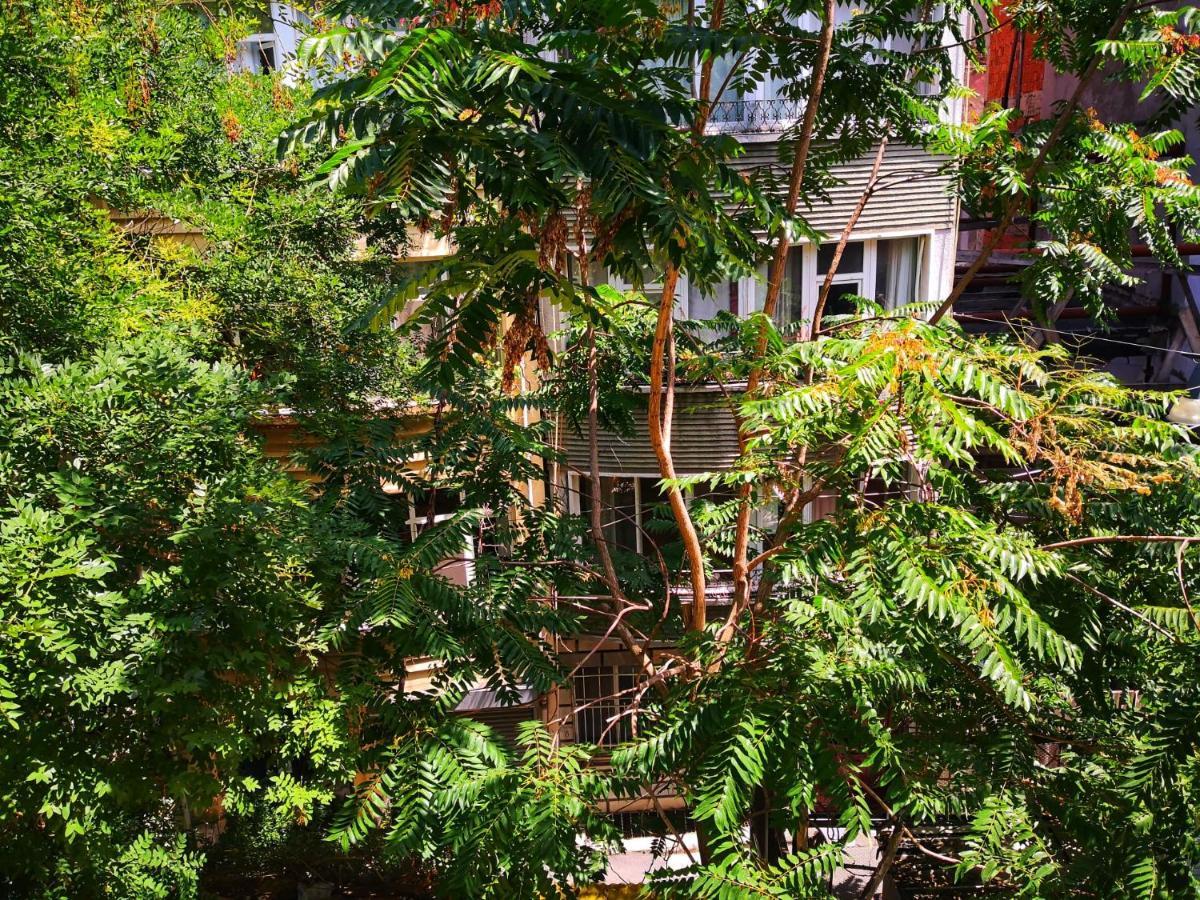 Gafa Garden & - Great Location