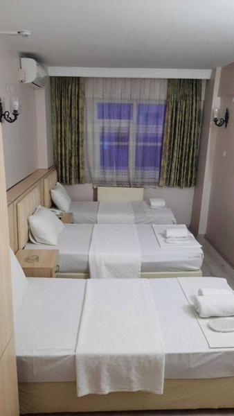 Hotel Hotel Dunay