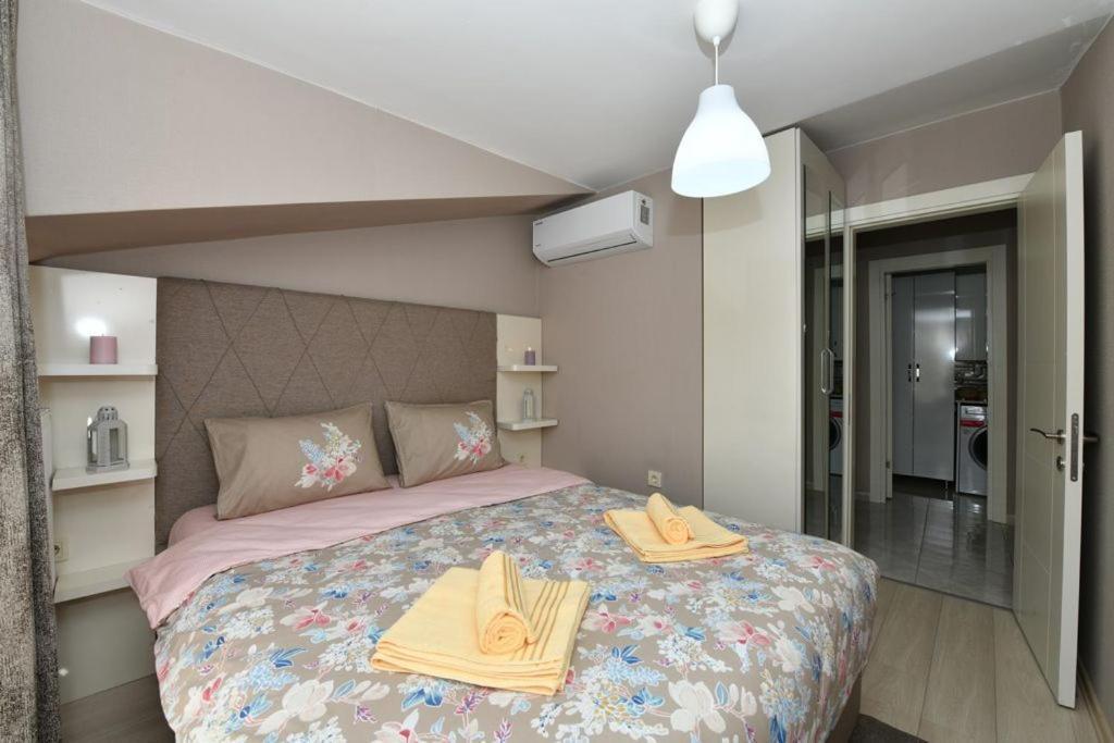 Color Homes Bomonti *