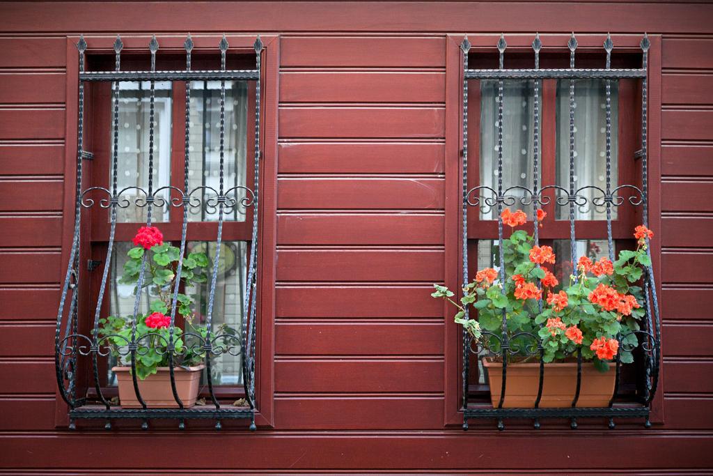 Sultanahmet Apartment