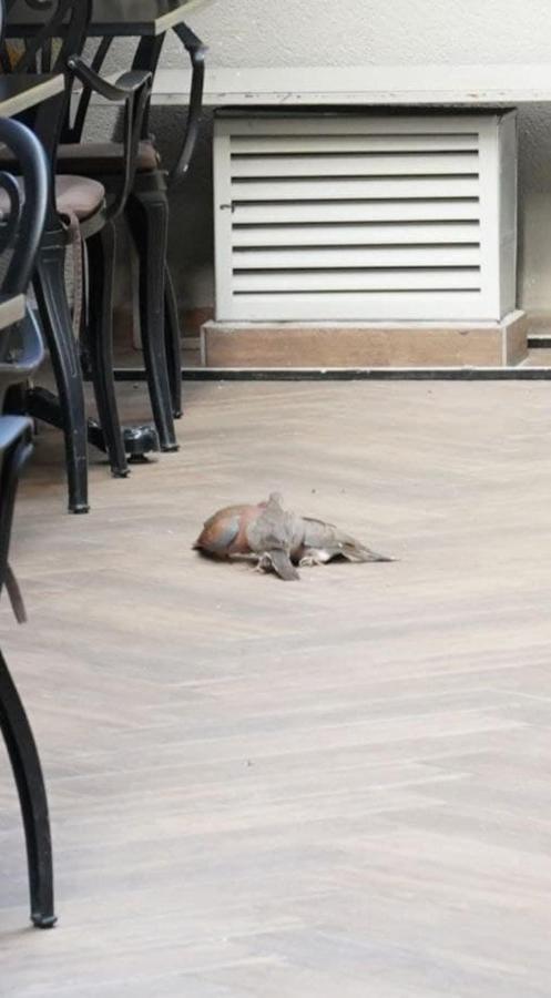 Keten Taksim Aparthotel 4*
