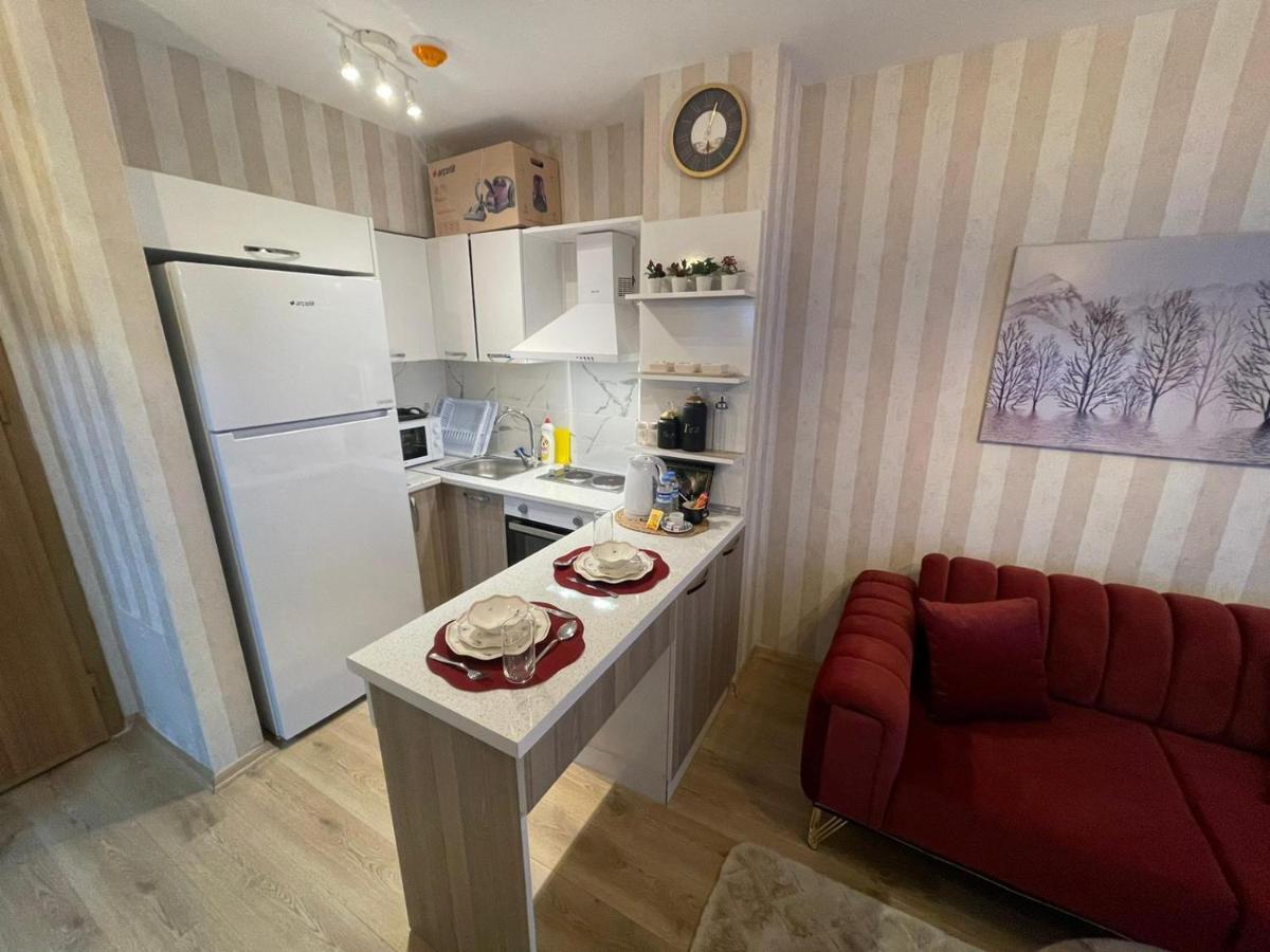 Classic Ss5 Apartment