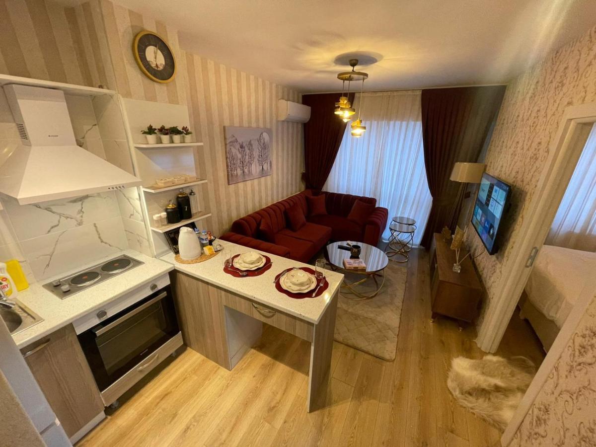 Apartment Classic Ss5