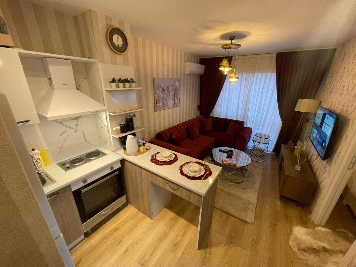 Classic Ss5 Apartment *