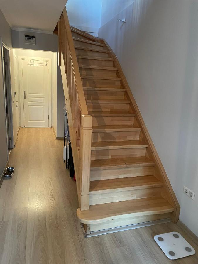Duplex With Terrace In Center,5mn Walk To Istiklal