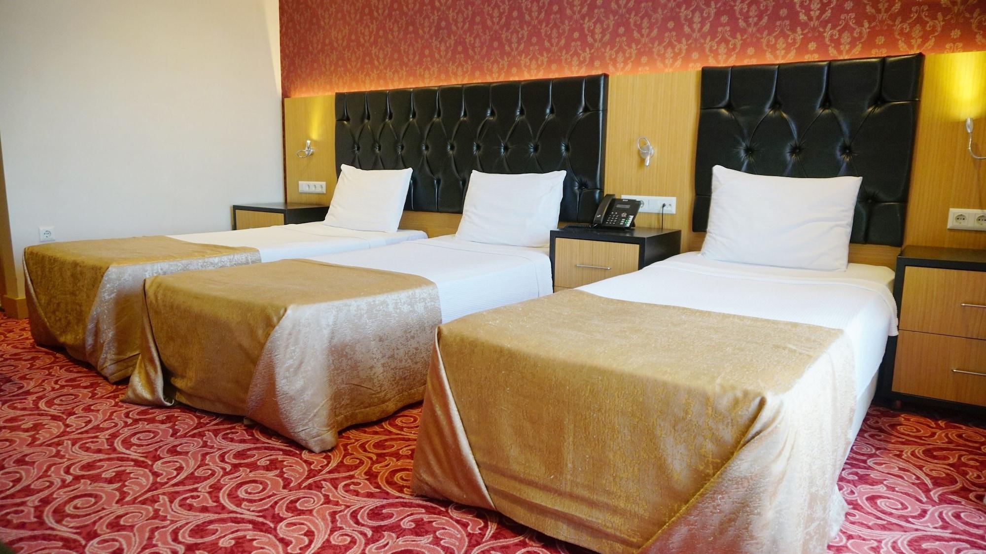 Otel Vois 4*