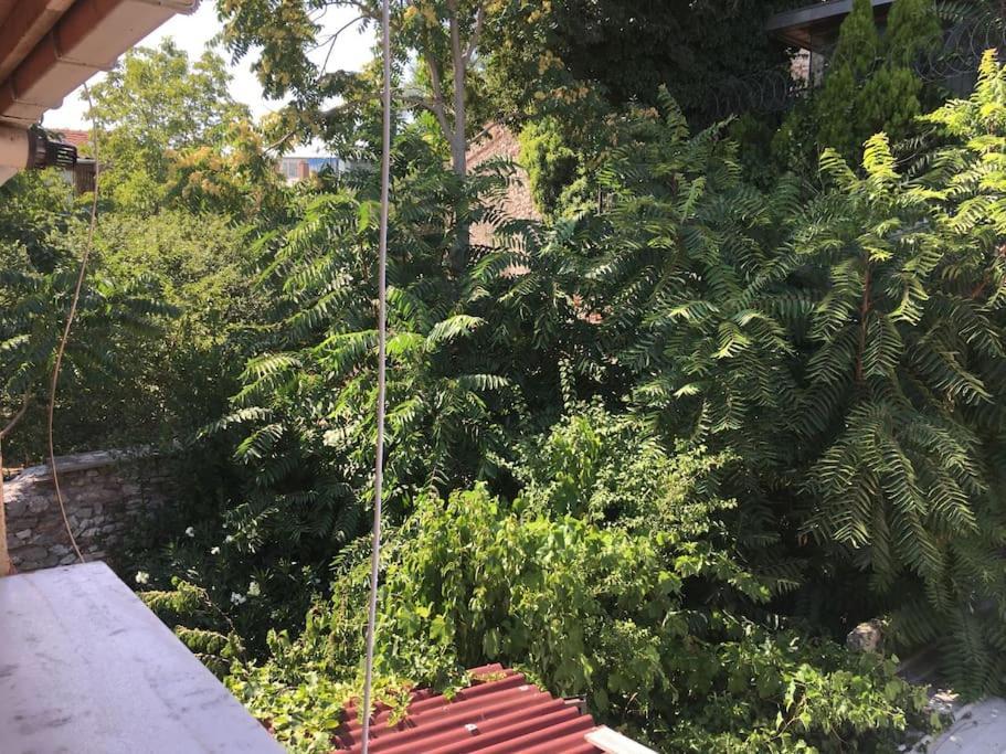 Amida House Istanbul