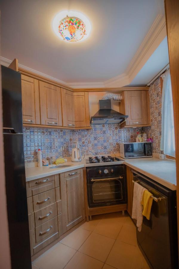 Antique Masterpiece Duplex In Besiktas Apartment