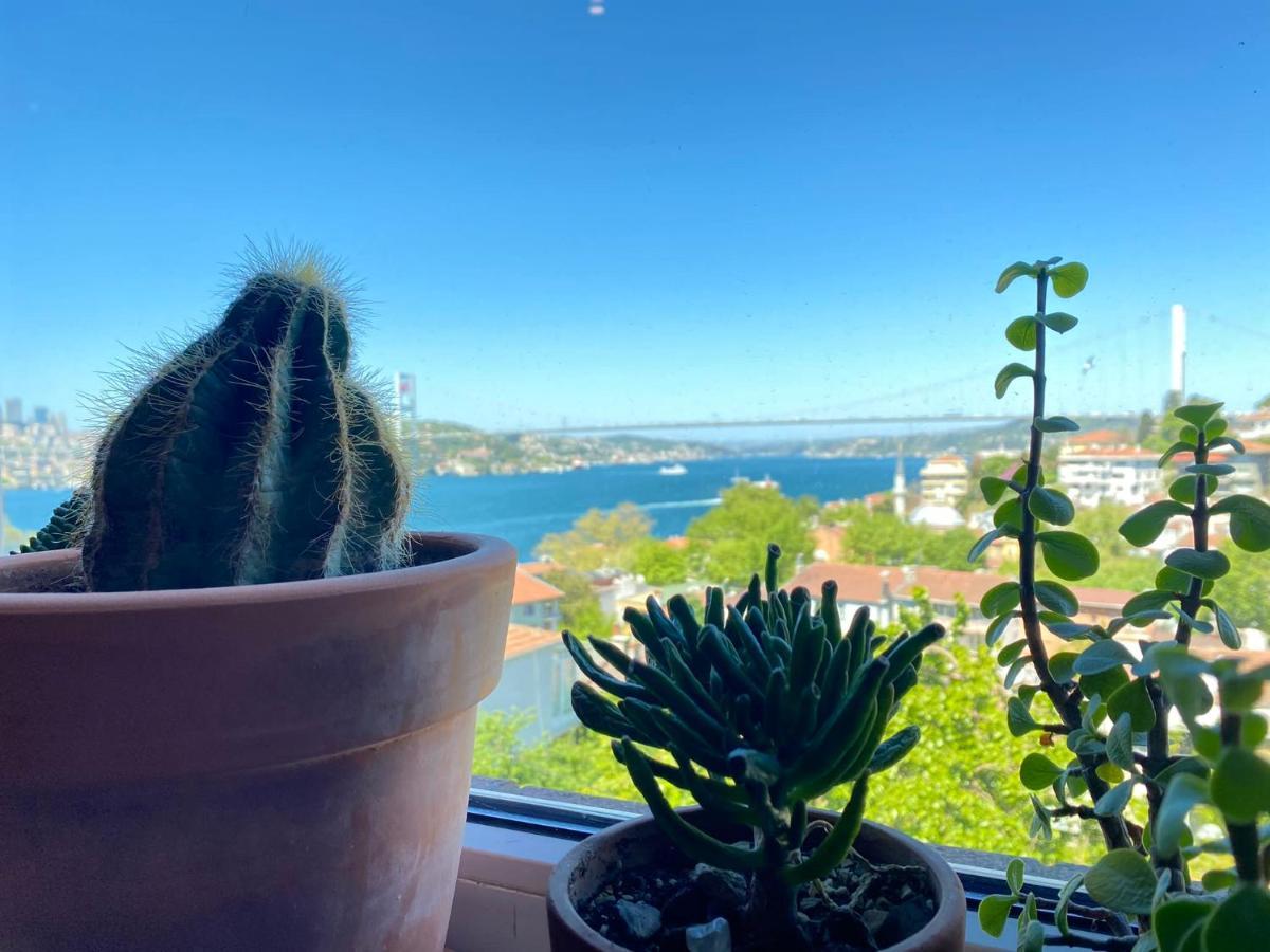 Daire Delightful With Backyard And Bosphorus View In Uskudar *