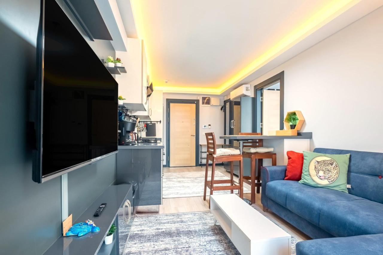 Lovely And Central Flat Near Ciragan Palace In Yildiz Besiktas Apartment
