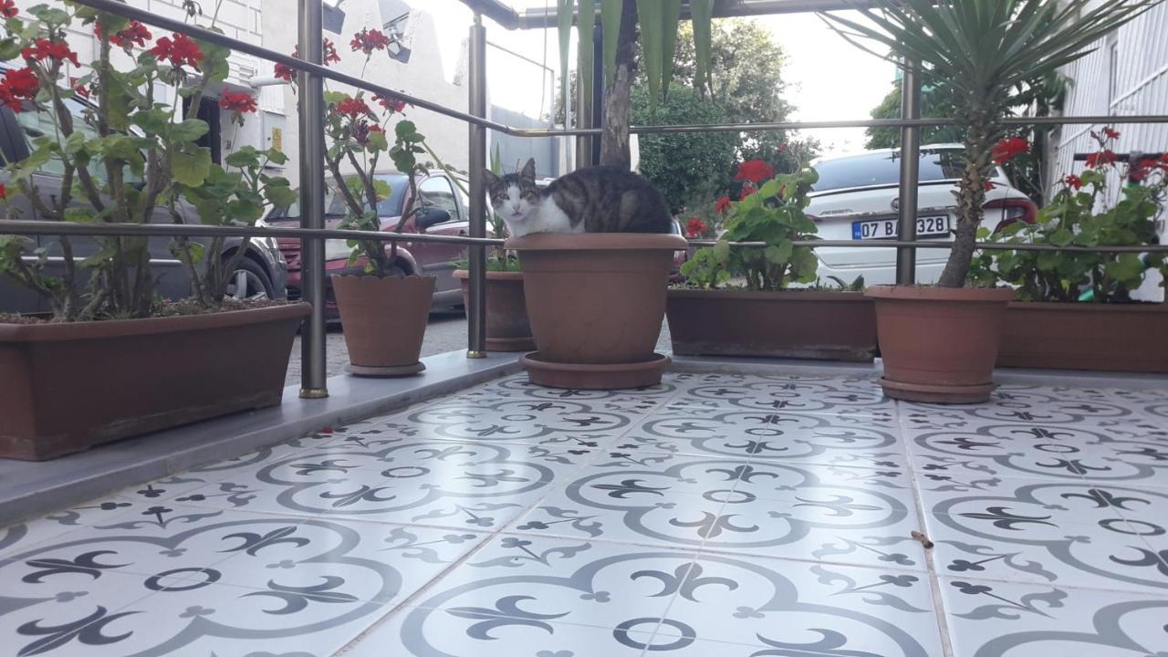 Yasin Aparthotel