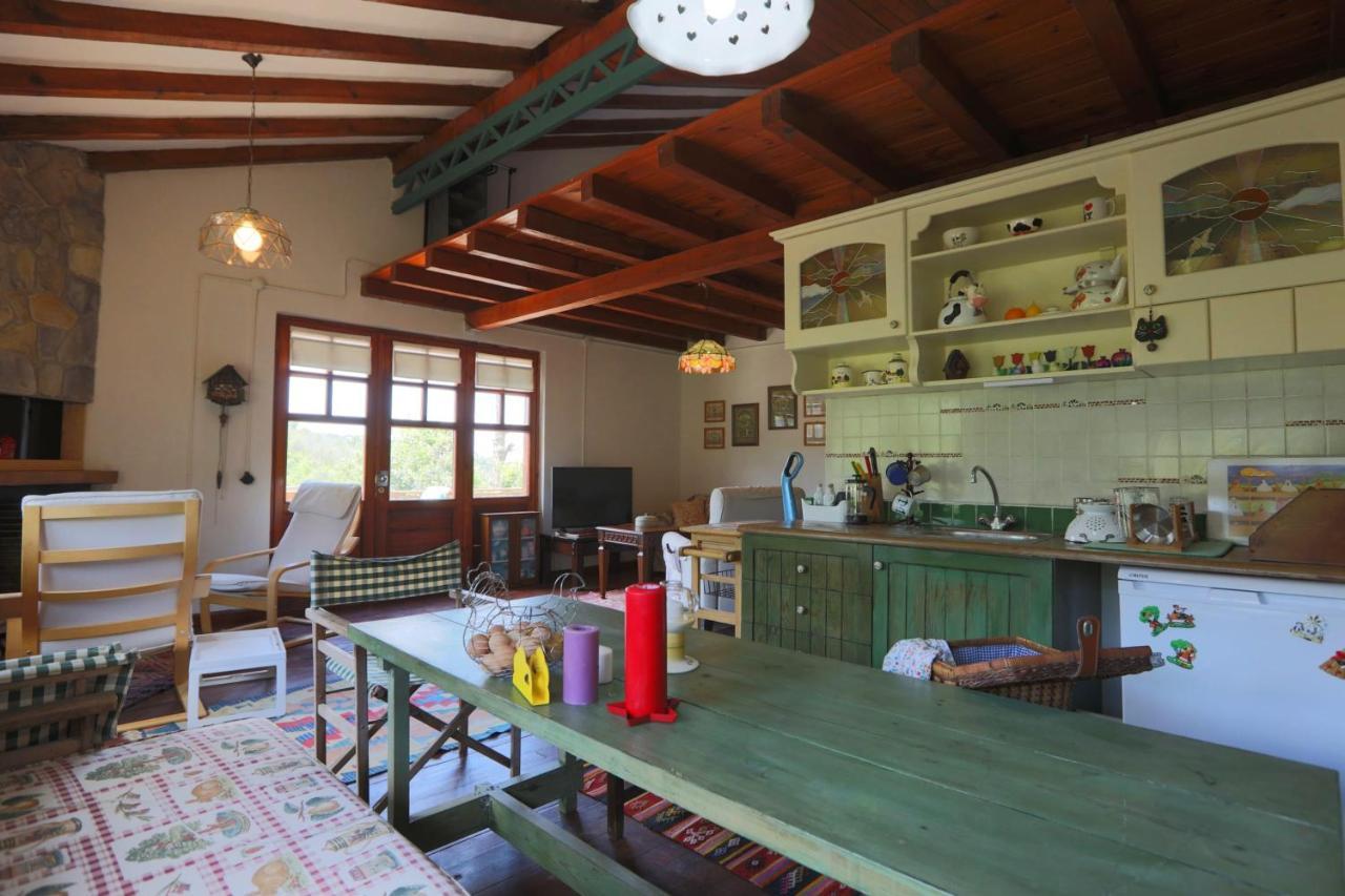 Cozy Mountain House Surrounded By Nature In Beykoz Tatil Evi İstanbul