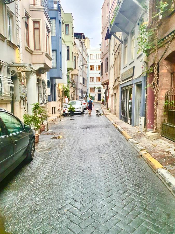 Cedar House * İstanbul