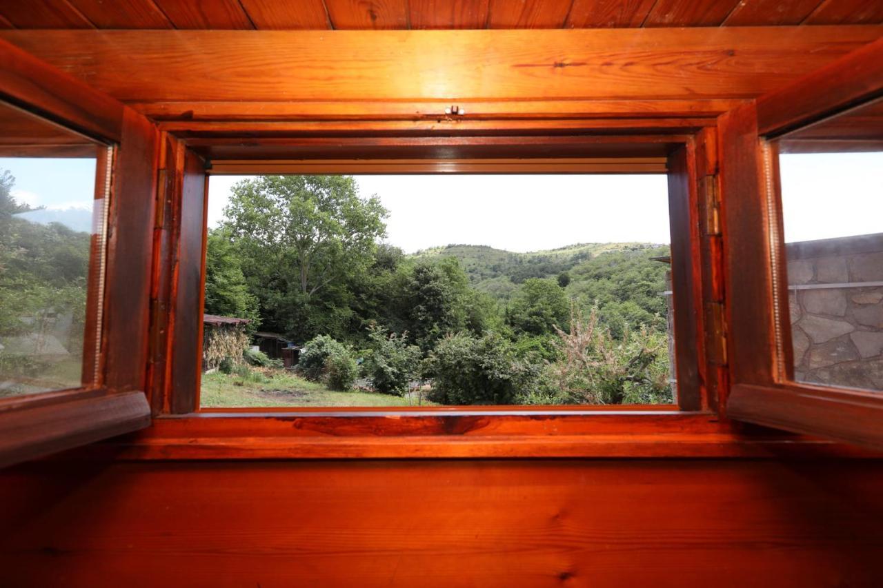 Cozy Mountain House Surrounded By Nature In Beykoz İstanbul