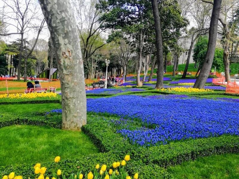 Apartment Delightful Sultanahmet I *