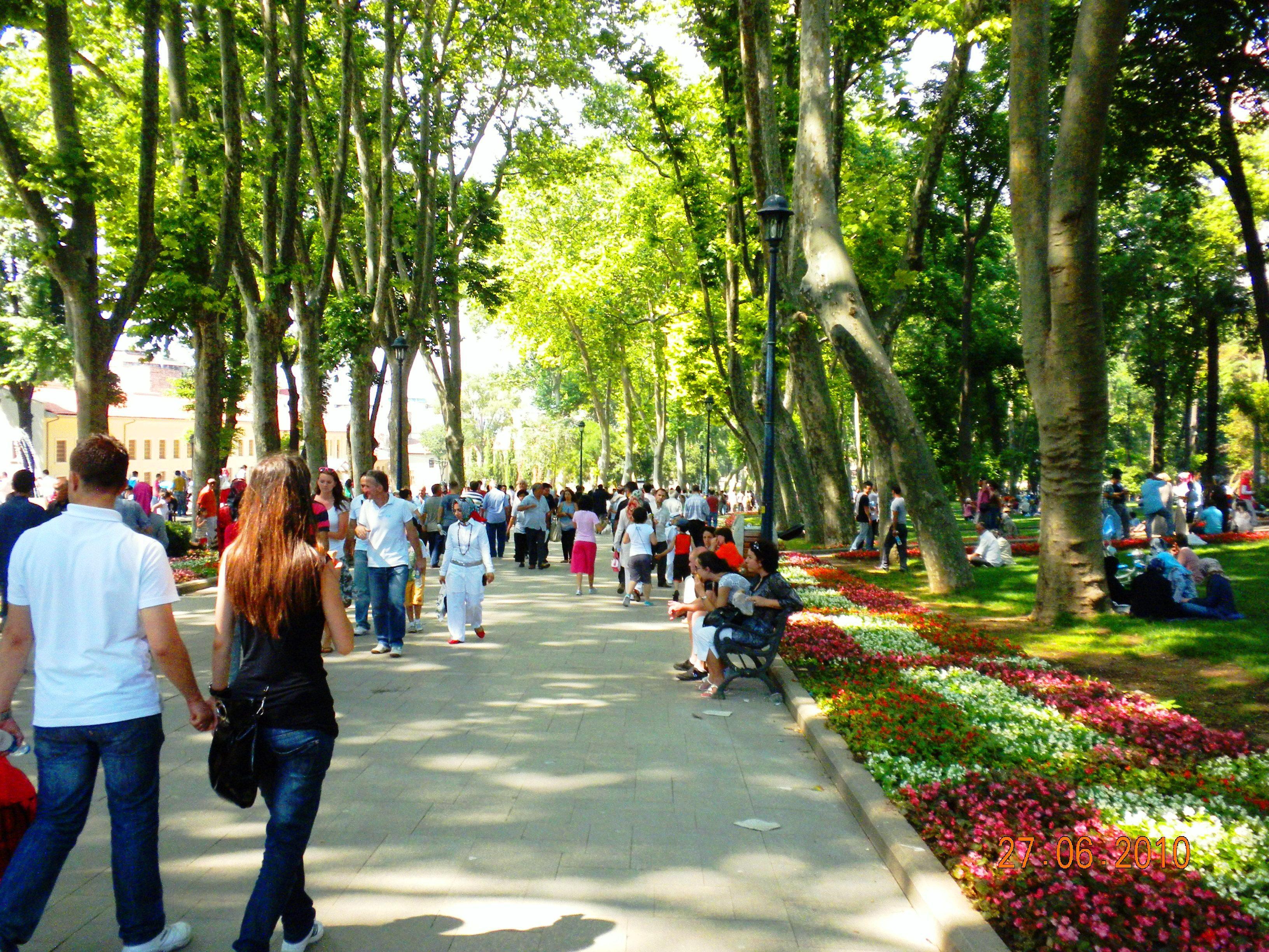Hotel Vizyon 3*