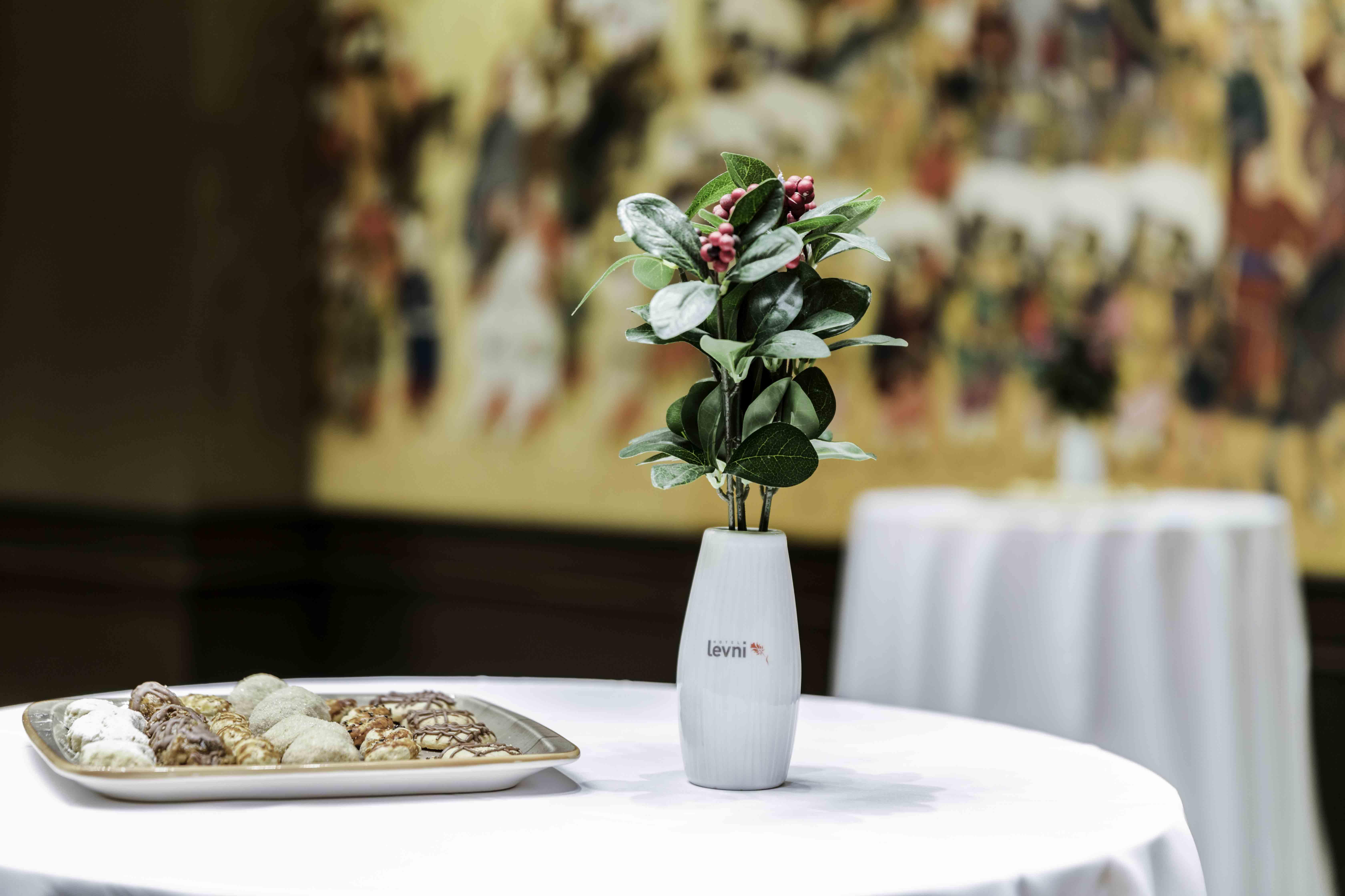 Hotel Levni & - Special Category 5*