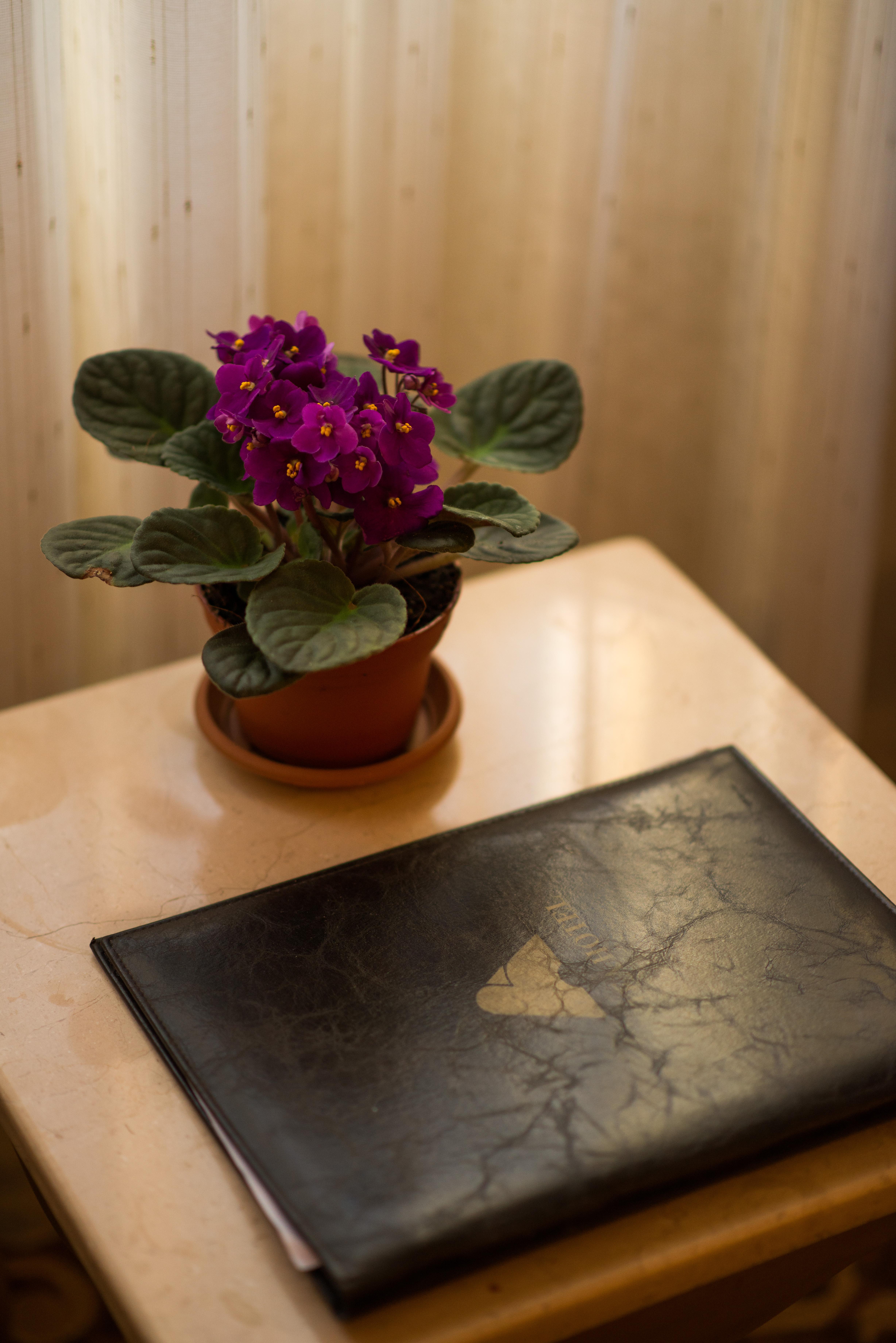Hotel Antea Oldcity -special Category Istanbul