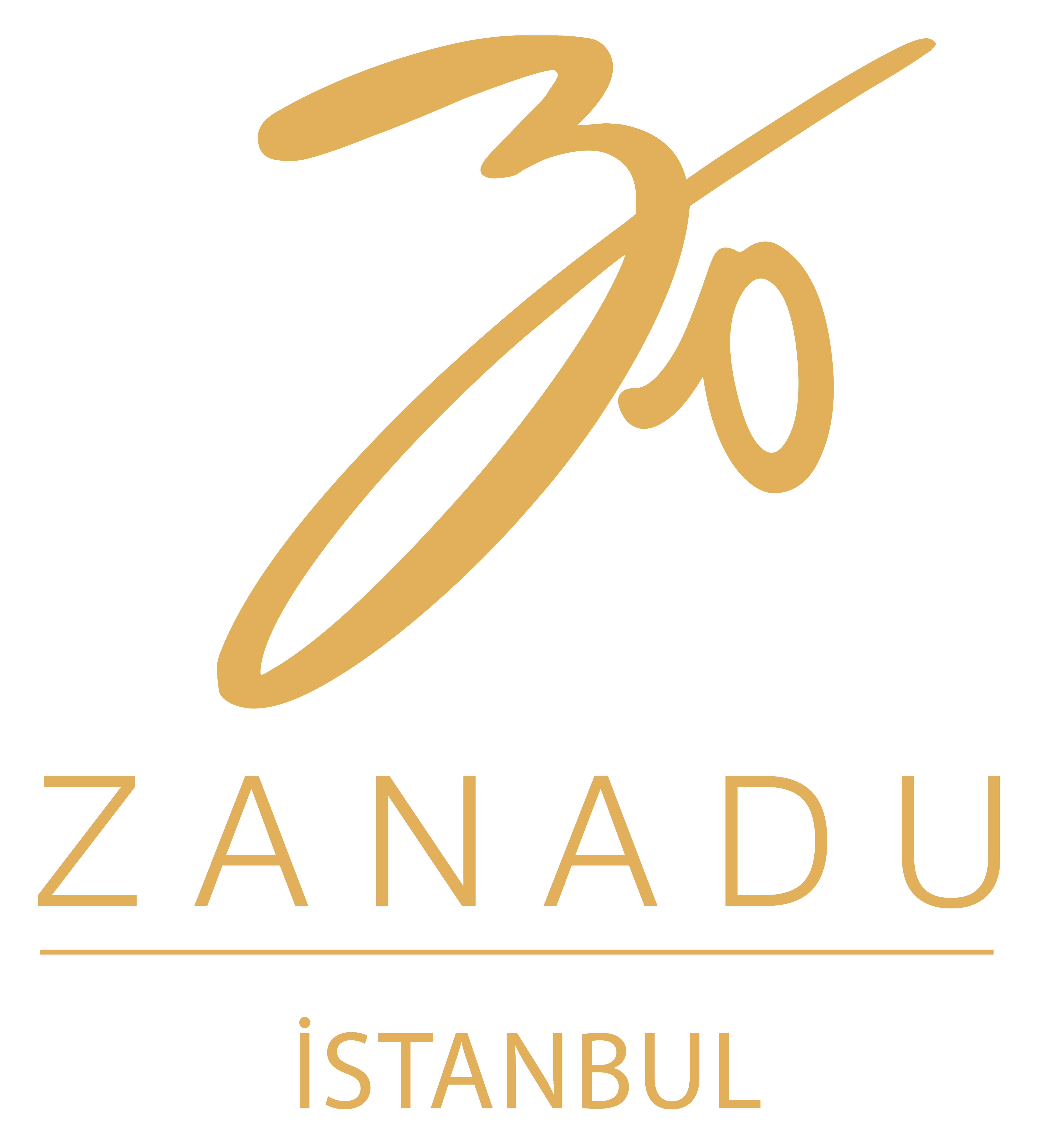 Hotel The Zanadu 3*