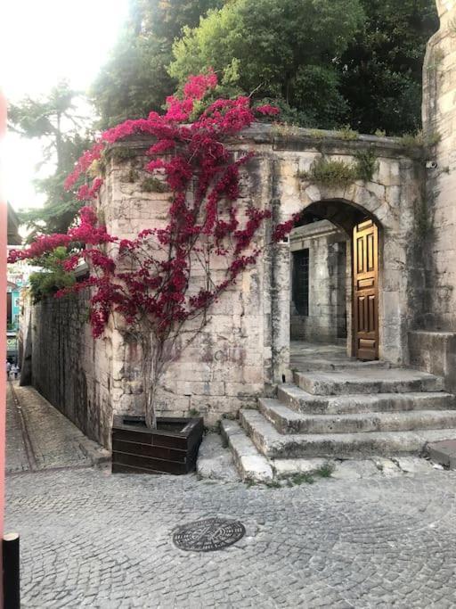 Erkul Old 2 Istanbul