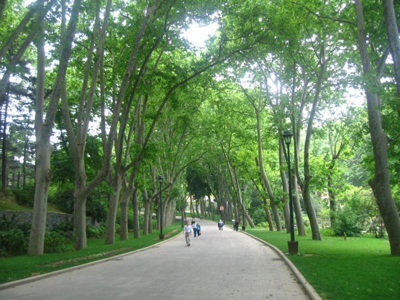 Delightful Sultanahmet *
