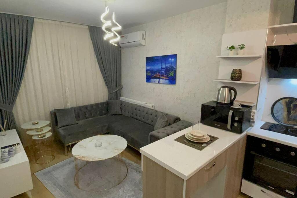 Apartment Classic Bh13 *