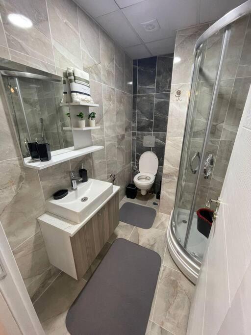 Apartment Classic Bh13