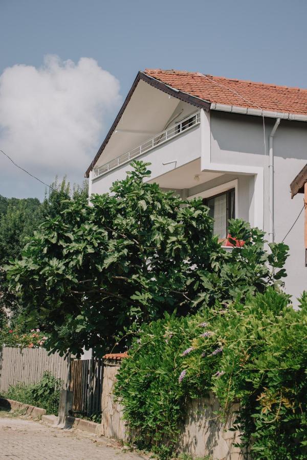 Otel Ağva Marina House *