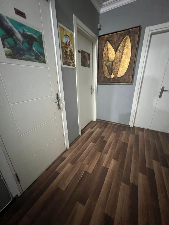 Cherry Hostel