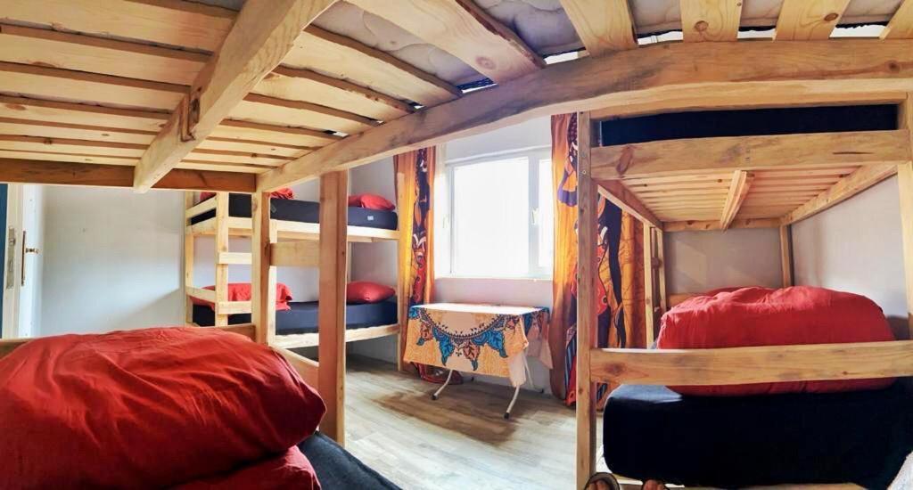Hostel Lola Backpacker's