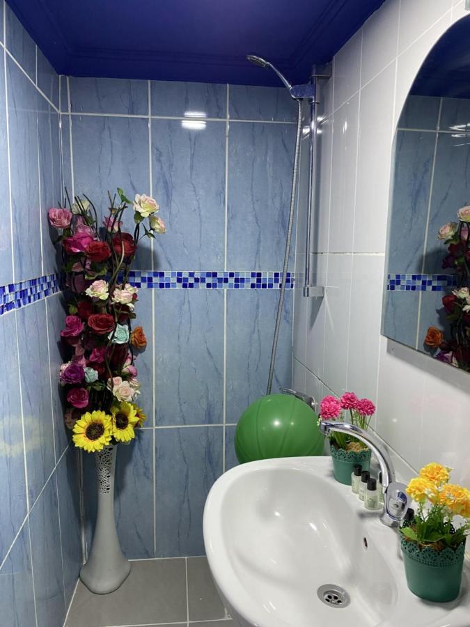 Hotel Sultanahmet Blue Viaport *