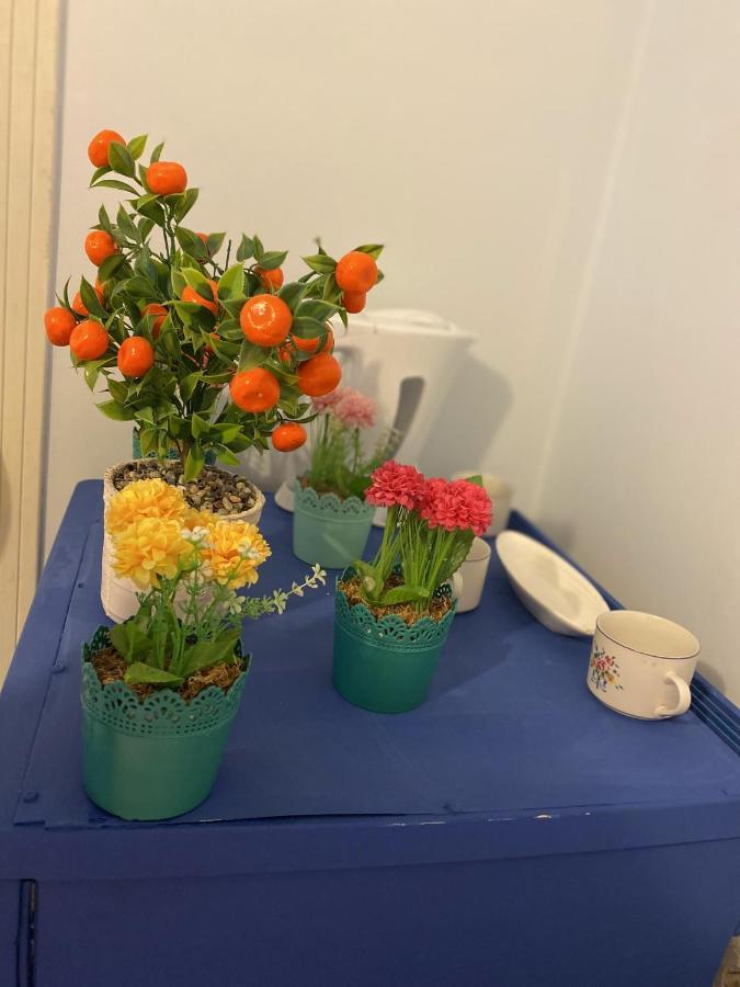 Sultanahmet Blue Viaport Hotel