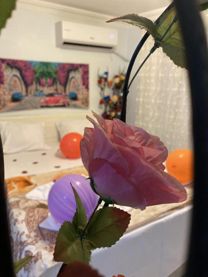 Hotel Sultanahmet Blue Viaport Istanbul