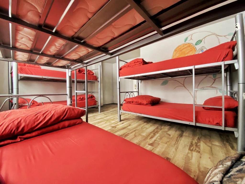 Lola Backpacker's Hostel