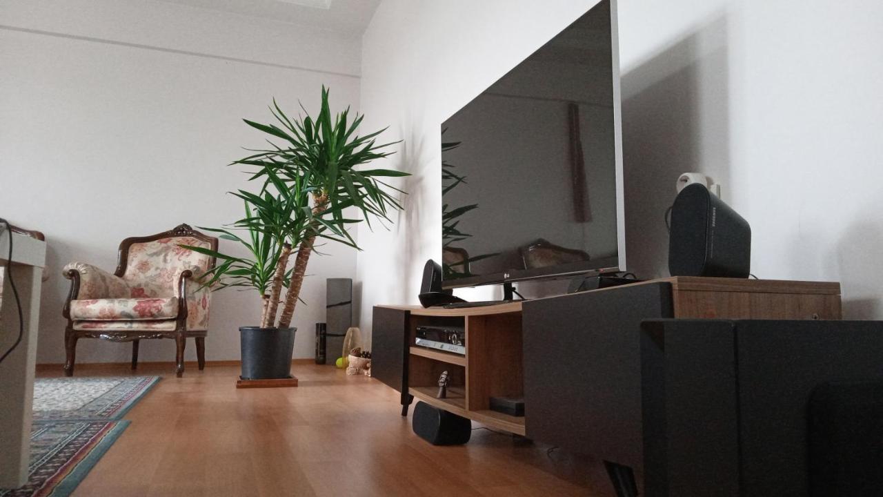 Single Room, одноместная комната в доме, D'une Personne, Individual Bed & Breakfast
