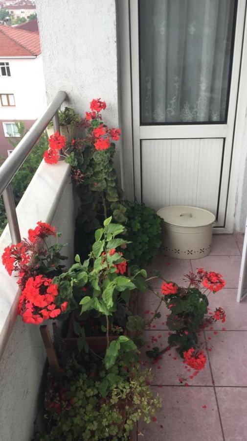 Single Room, одноместная комната в доме, D'une Personne, Individual * Istanbul