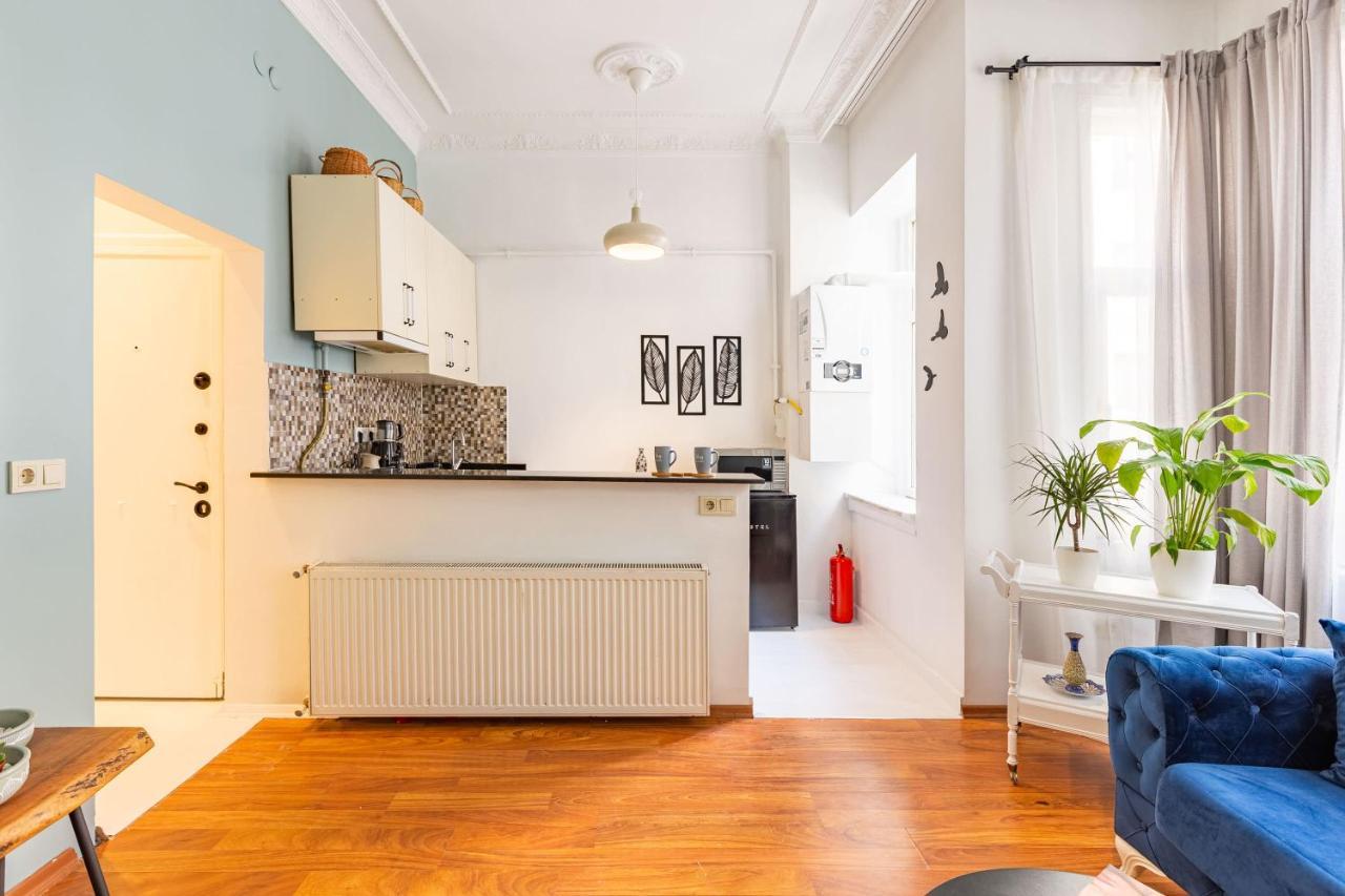 Apartment Walk To Taksim S Istanbul